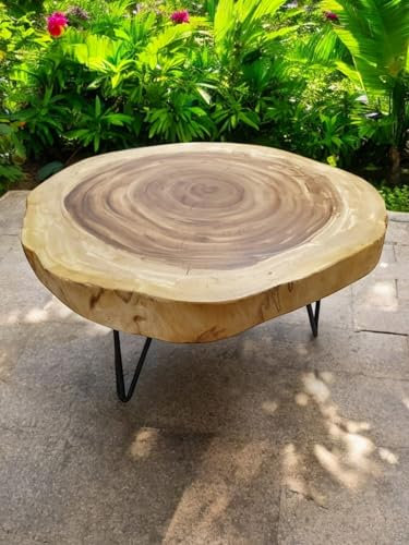 Suar Holz Couchtisch LAEM PHO II - 45cm hoher Wohnzimmertisch - in 2 Größen ca 60-85 cm Baumscheibe als Tischplatte aus massiver Akazie in rustikaler Optik (Ø 60-70 cm)