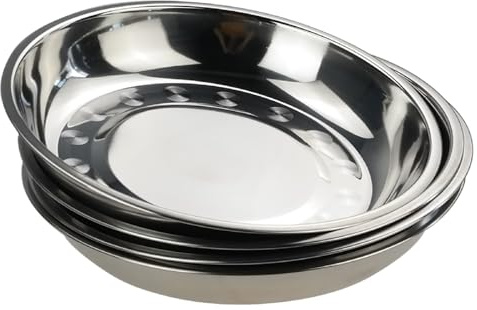 Teyyvn - Confezione da 4 piatti piani in acciaio INOX, rotondi da campeggio, 24 cm