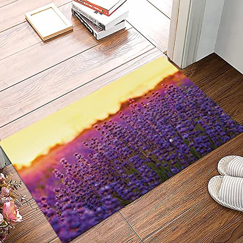 Badematte 50x80cm, Rutschfeste Badteppich, Lavendel, Lavendelfeld im Sommer bei Tihany Ungarn Landwirtschaft Ernte Duft A,Mikrofaser Badvorleger mit, Wasserabsorbierende Weiche teppiche für Badezimmer
