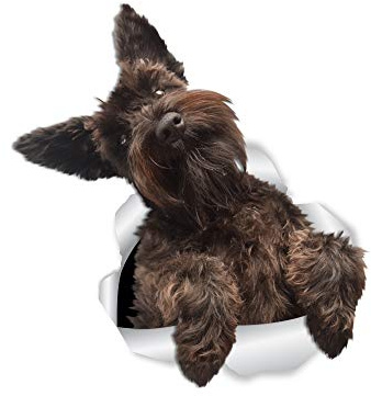 Winston & Bear Cute Schnauzer Wall Decals - 2 Pack - 3D Dog Car Window & Bumper Sticker - Schnauzer Lover Gifts
