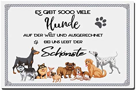 TRIOSK Dekoschild Hund Schild lustig mit Spruch Es gibt so viele Hunde auf dieser Welt Metallschild Hinweis Hundeschild Sprüche Geschenk für Hundebesitzer Blechschild 30x20 cm groß