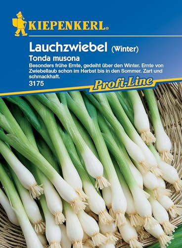 Kiepenkerl Profi-Line Winterlauchzwiebelsamen Tonda musona 3175 – Zart und schmackhaft - Inhalt für 6 laufende Meter - Wuchshöhe 30-40 cm - Gemüsesamen