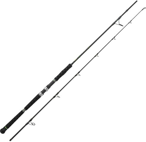 CATIX® Spin Cat 270 - Wels Spinnrute 2.70m, 50-180g - IM12 Kohlefaser, Fuji Rollenhalter, Anti-Winding-Design