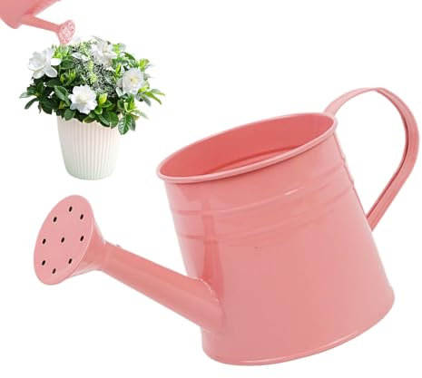 Annaffiatoio da giardino per piante da interno ed esterno, annaffiatoio in ferro con beccuccio lungo, per decorazione domestica e giardinaggio, 1 litro