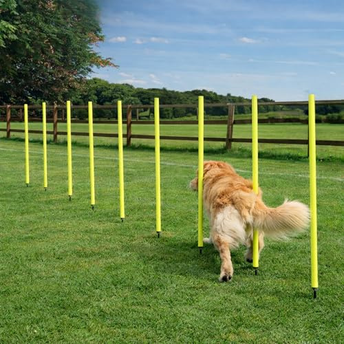 KATIX Premium Dog Agility Training Poles | 12-Piece 95cm Adjustable Mini Slalom Set with Carry Bag – Ideal for Puppy Training, Obedience, Fitness & Outdoor Dog Sports