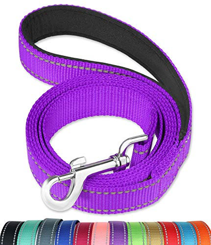FunTags Reflektierende Hundeleine mit weich gepolstertem Griff für Training, Spaziergang für große und mittelgroße Hunde, 2,5 cm breit, Violett
