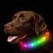 NOVKIN LED-Hundehalsband, wiederaufladbares Hundehalsband mit RGB-Farbwechsel, wasserdichte Hundelichter Machen das Haustier sichtbar und sicher für Nachtspaziergängefür kleine, mittelgroße Hunde