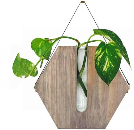 MINGZHE Fioriere da Parete Fioriere da Parete in Legno per Piante da Interno Decorazioni di Bellezza Vasi da Fiori Gancio per Piante Fioriera Sospesa per Interni Cestino Portavasi da Fiori Senza(#3)