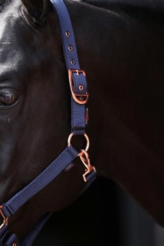 Covalliero Halfter Classy Navy mit roségold, Größe:Cob