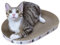 Ovales Katzenkratzbretter,Rund Katzenkratzbretter,Papp-Kratzer,Hohe Dichte, 2-in-1-Kratzbett für Katzen, Krallenschleifen und Schlafen