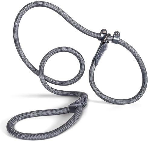 Retrieverleine 150 cm für große & kleine Hunde – Halsband mit integrierter Leine – Slip Leash & Trainingsleine Hund – Führungsleine für Labrador & Retriever - Ruckdämpfer (Anthrazit, bis 15 Kg)