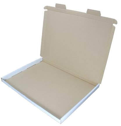 100 Stück Großbrief Karton Versand Schachtel Briefsendung 350 x 250 x 20 mm weiß dimapax