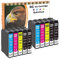 D&C 10 Druckerpatronen Kompatibel für Epson 502 XL für Epson Expression Home XP-5100 Series XP-5105 XP-5115 WorkForce WF-2800 Series WF-2860 D WF-2860 DWF WF-2865 DWF 4xSchwarz 2xCyan 2xMagenta 2xGelb