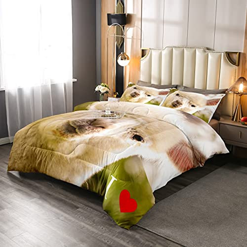 Loussiesd Süßes Alpaka Steppdecke Kinder Jugendliche Llama Bettdecke 155x220cm 3D Tierthema Steppbett Schöne Wilde Tiere Alpaka für Mädchen Jungen Kinder atmungsaktiv Mikrofaser