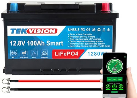 Tekvision LiFePO4 12V 100Ah H7 Lithium Batterie Bluetooth Versorgung Batterie Solarbatterie Wohnmobil Autobatterien Solar Camping Haushalt inklusive App (LiFePO4 12V 100Ah H7 315 * 175 * 190mm)