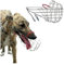 KANGYEBAIHUODIAN Metal Wire Basket Dog Muzzle Anti Bark Bite Chew Safety Fit For Small/Large Anti-Bite Greyhound Dog Muzzles (Size : S)