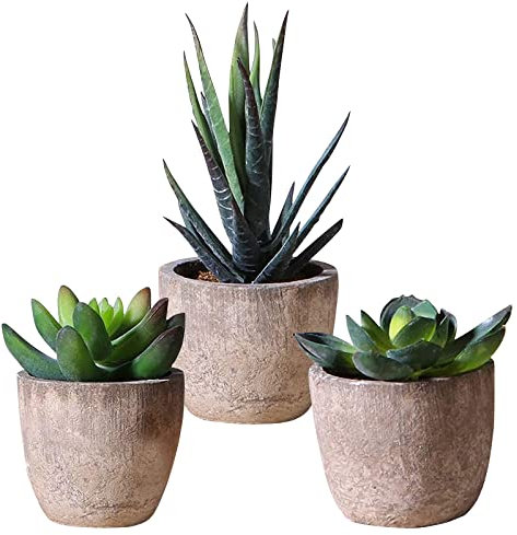 Qunkun Lot de 3 vraies plantes succulentes artificielles, fleurs artificielles, bonsaï avec pot, plantes décoratives pour balcon, bureau, salle de bain (B)