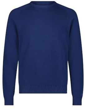Lee Clean Raglan Sweater Pullover für Herren