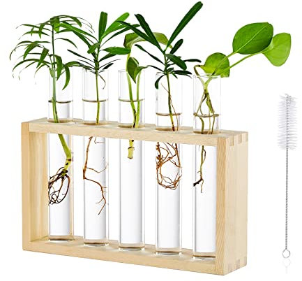 Vaso Interno Decorativi Fiori Vetro: Moderni Vasi Provetta Porta Con Supporto In Legno Eleganti Stazione Di Propagazione Per Talee Piante Idroponico Tavolo