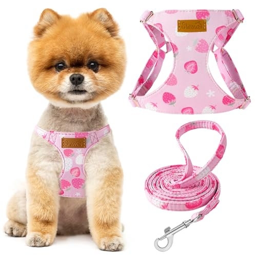 SlowTon Puppy Harness and Leash Set - No Pull Soft Dog Harness, Adjustable, Lightweight, Ideal for Walking, Running, Training, Small and Medium Dogs