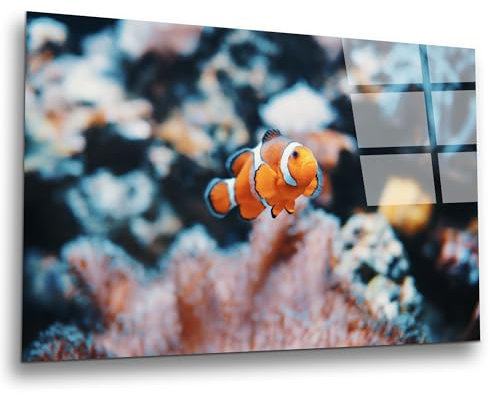 INDIGOS UG Tableau sur verre - Poisson sous-marin - 80 x 60 cm - Verre véritable ESG imprimé - Impression sur verre - Avec image - Pour salon, cuisine, chambre à coucher, salle de bain - Cadeau de