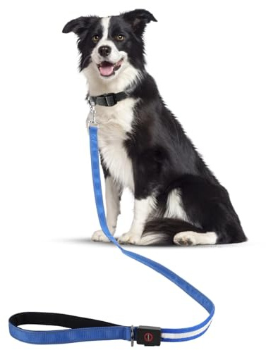 LED Hundeleine Für Hunde, Reflektierend Hundeleine Mit 4 Lichtmodi, 1,2m USB Leine Hund Große Hunde Aufladbar Hochsichtbarkeit Für Große Und Kleine Hundes, Sicherheits Für Spaziergänge (Blau)