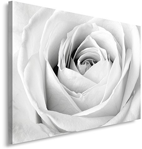 Feeby, Leinwandbild, Bilder, Wand Bild, Wandbilder, Kunstdruck 80x120cm, WEIßE Rose