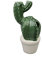Kaktus aus Keramik Kakteen Modelle wählbar Deko Dekovase Vase Keramik (22-8 Höhe 15 cm)