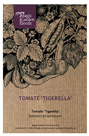 Geflammte rot-gelbe Tiger-Tomate 'Tigerella' (Solanum lycopersicum) 10 Samen