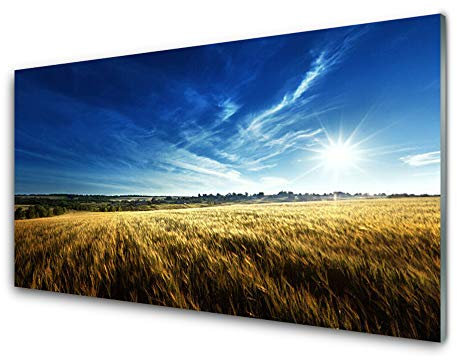 Tulup Glasbilder 100x50cm - Wandbild Druck auf Glas XXL Panorama-Bild Wandbilder aus Echt-Glas Sicherheitsglas Kunstdruck für Küche Wohnzimmer Acker Himmel Natur