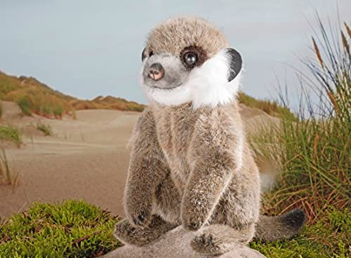 Kösener Erdmännchenbaby