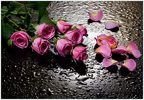 Wallario Vliestapete Fototapete Pinke Rosen mit Wassertropfen - Wandtapete Größe: 300 x 210 cm