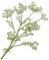 Silk-ka Künstliche Blumen-Seidenblumen Dillzweig Creme 105 cm