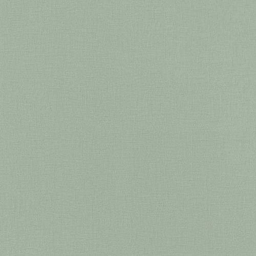Rasch Tapeten Vliestapete (universell) Grau 10,05 m x 0,53 m Club Botanique + Claas II 537901
