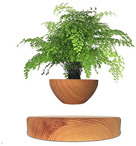 BANNESE Pot De Bonsaïs À Air en Lévitation Plateau pour Plantes De Maison, 360 Degrés Pot De Bonsaï Flottant À Lévitation Magnétique Grain De Bois Pot De Fleurs Flottant,Light Wood Grain
