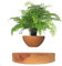 BANNESE Schwebender Luft-Bonsai-Topf,Magnetischer Schwebende Pflanze Topfpflanzen Luftverzierungen,Holzkornrotation Blumentopf Heim Dekoration Für Geburtstag, Party-Geschenke,Light Wood Grain
