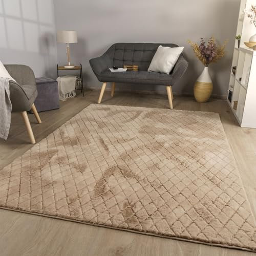 TT Home Wohnzimmer Teppich Esszimmer Langflor Skandi Optik Geometrisch 3D Unifarben, Farbe:Hellgrau Beige, Größe:160x220 cm