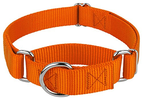 Country Brook Petz - Martingale Dog Collar - Heavy-Duty Training Collar with No Buckle - Service Dog Collar for All Pups - 10+ Warm Colors (Orange, 1 Inch, Medium)