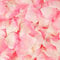 Rosenblätter, Seidenstoff, künstliche Rosenblätter, Hochzeit, Valentinstag, Dekoration, Rosa, Weiß, 500 Stück