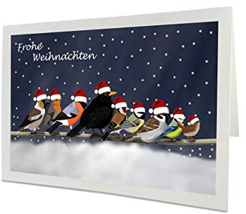 Weihnachtskarte mit Vogelmotiv Amsel Blaumeise Rotkehlchen Zaunkönig Inklusive Umschlag