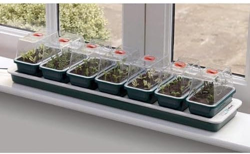 7 mini serres chauffantes Super 7 - 76 x 18,5 x15 cm - Garland germination-bouturage
