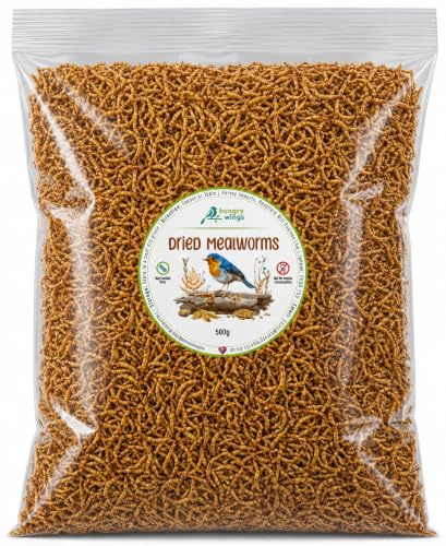 Wild Bird Food (500g, Dried Mealworms)