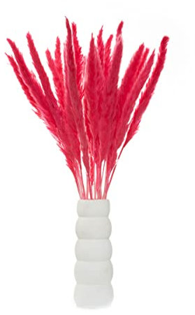 30 Stück Pampasgras pink Deko Trockenblumen künstlich Pampas Dekoration Skandi-Deko fluffig Wedel Hochzeit Wohnzimmer Bad Home Hausdeko Tischdeko Vase Eyecatcher