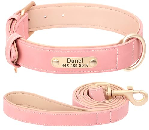 SEOUGEE Personalisiertes Hundehalsband und Hundeleine aus Leder im Set, weich gepolstert, robust, mit individuell gravierter Namensplakette, verstellbar für kleine, mittelgroße und große Hunde (M