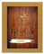 Holzbeize Möbelbeize Trockenbeize Beize Pulverbeize f. 2-3m² große Farbauswahl, Farbe:kiefer