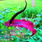Pinkdose Verlust Promotion! 100 Teile/beutel Riesige Lilie Voodoo Lilie Pflanzen vergossen Bonsai Garten Hof