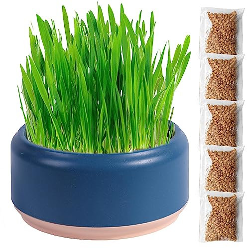 Virtcooy Cat Grass Planter | Cat Grass For Indoor Cats | Cat Grass Seeds | Cat Grass Planter Tray | Cat Grass Box | Cat Grass Growing Kit | Soil Free Cat Snacks For Digestion, Purple