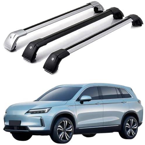 LOVVEEUV DachträGer RelingträGer für EV6, Dachgepäckträger Dachträger Querträger Aluminium Diebstahl-Bars Auto Zubehör 2 Stück,Silver-Black