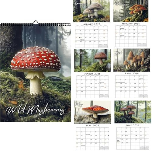Pilz-Wandkalender 2026 – 28,5 X 21 Cm Monatsplaner | Papierkalender Für Erwachsene – Stilvoller Jahresplaner Für Zuhause, Büro, Schule, Kindergarten, Fitnessstudio, Perfekt Für Planung Und Terminplanu