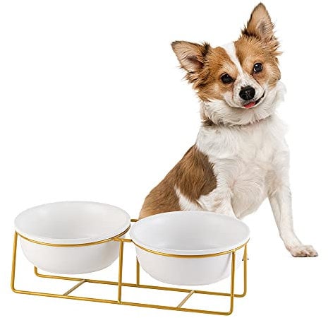Gamelles Surélevées en Céramique pour Chat - Double Gamelle pour Chiot avec Support en Métal Antidérapant - Idéal pour La Nourriture Et l'eau - 2 x 200 ML - Blanc